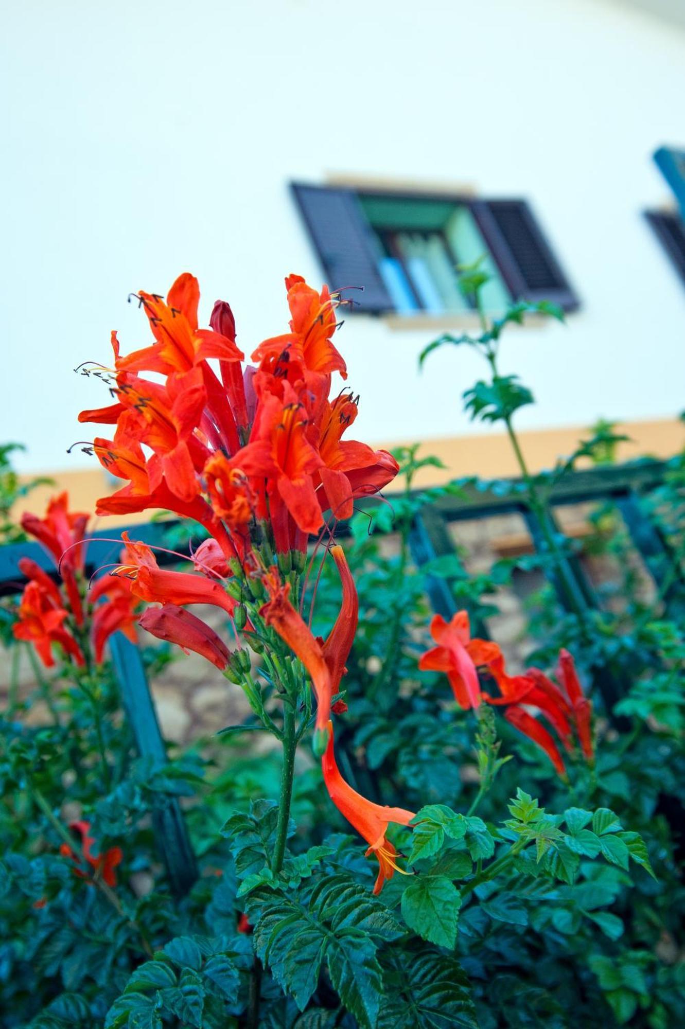 Casale La Zagara Aparthotel Sciacca Ngoại thất bức ảnh