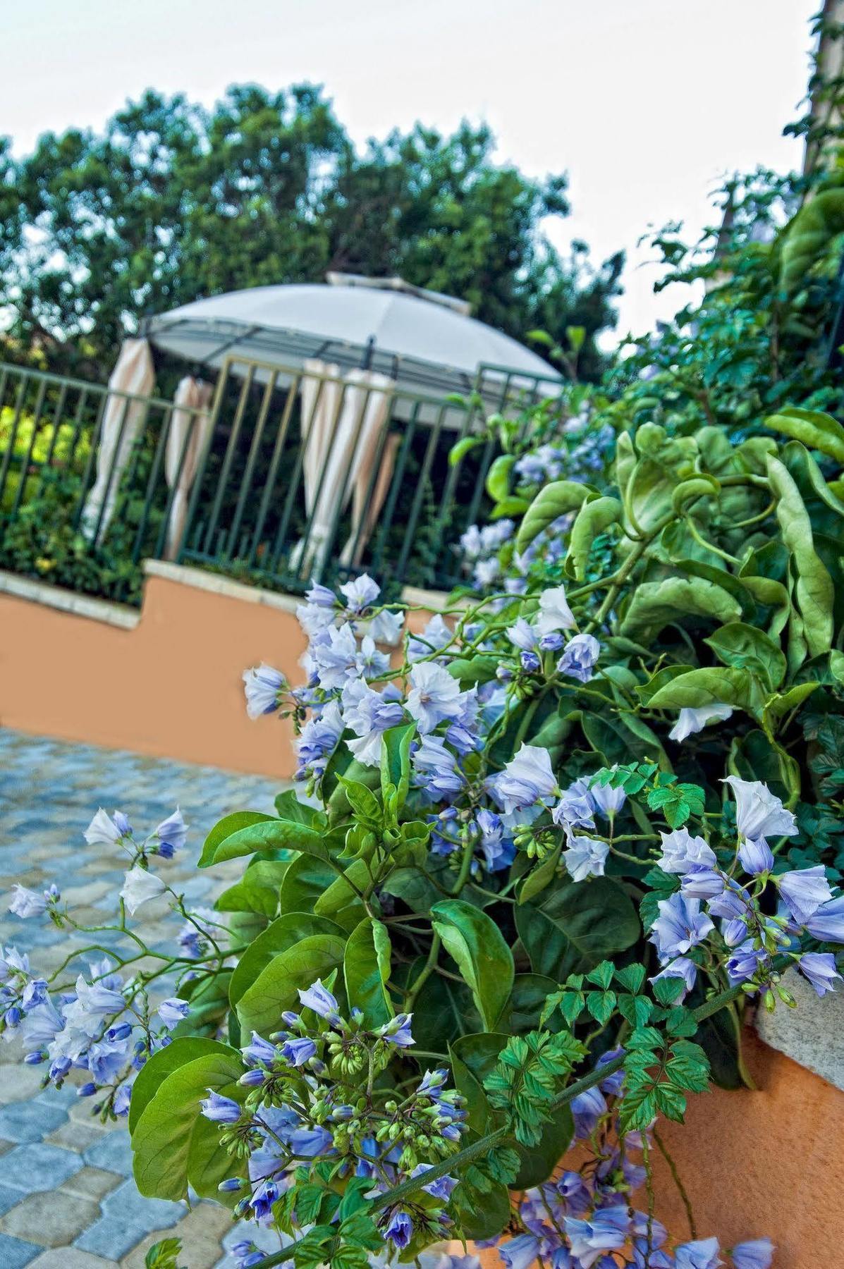 Casale La Zagara Aparthotel Sciacca Ngoại thất bức ảnh